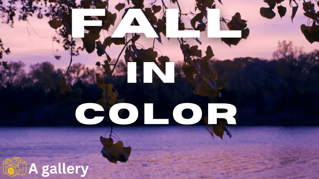 Fall Colors (a&nbsp;collection)